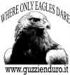 where-only-eagles-dare-1.jpg (106212 byte)